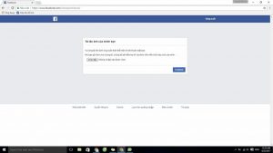 20247559 1911875875701947 1072610642255069500 o