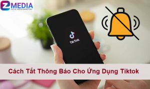 Phải làm sao khi không muốn cách thông báo trên Tiktok làm phiền bạn?